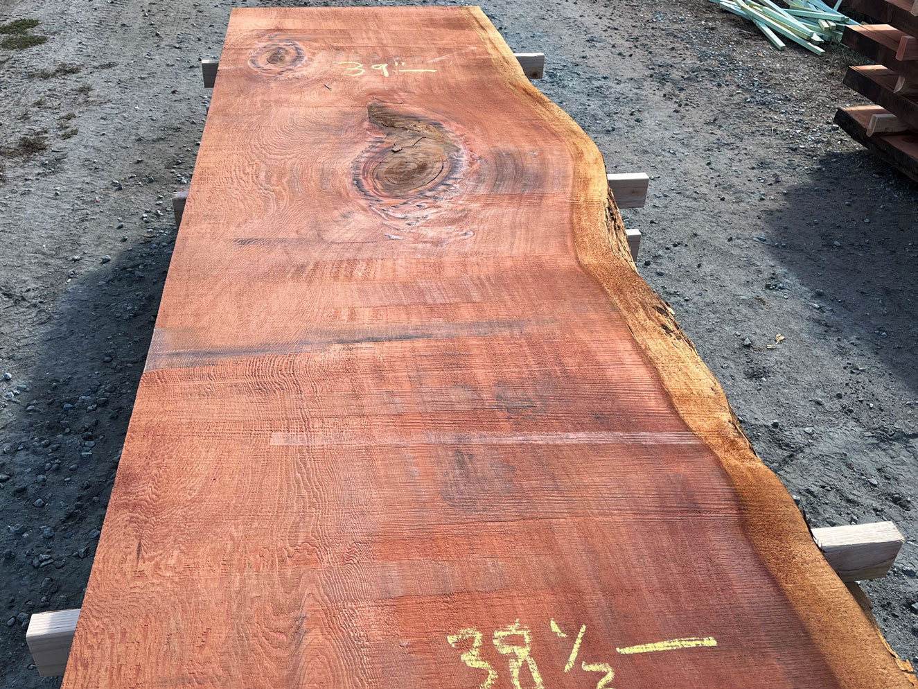 Giant Sequoia Live Edge Slab – 16.83' x 39" x 3.125" – Old Growth, Air-Dried – #C12-9