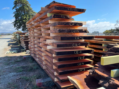 Giant Sequoia Live Edge Slab – 12.92' x 44.5" x 1.5" – Old Growth, Air-Dried – #C12-13