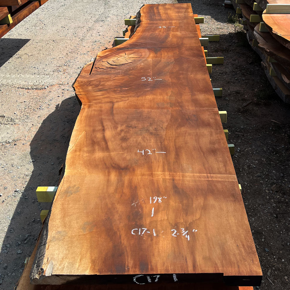 Giant Sequoia Live Edge Slab – 16.5' x 52" x 2.75" – Old Growth, Air-Dried – #C17-1