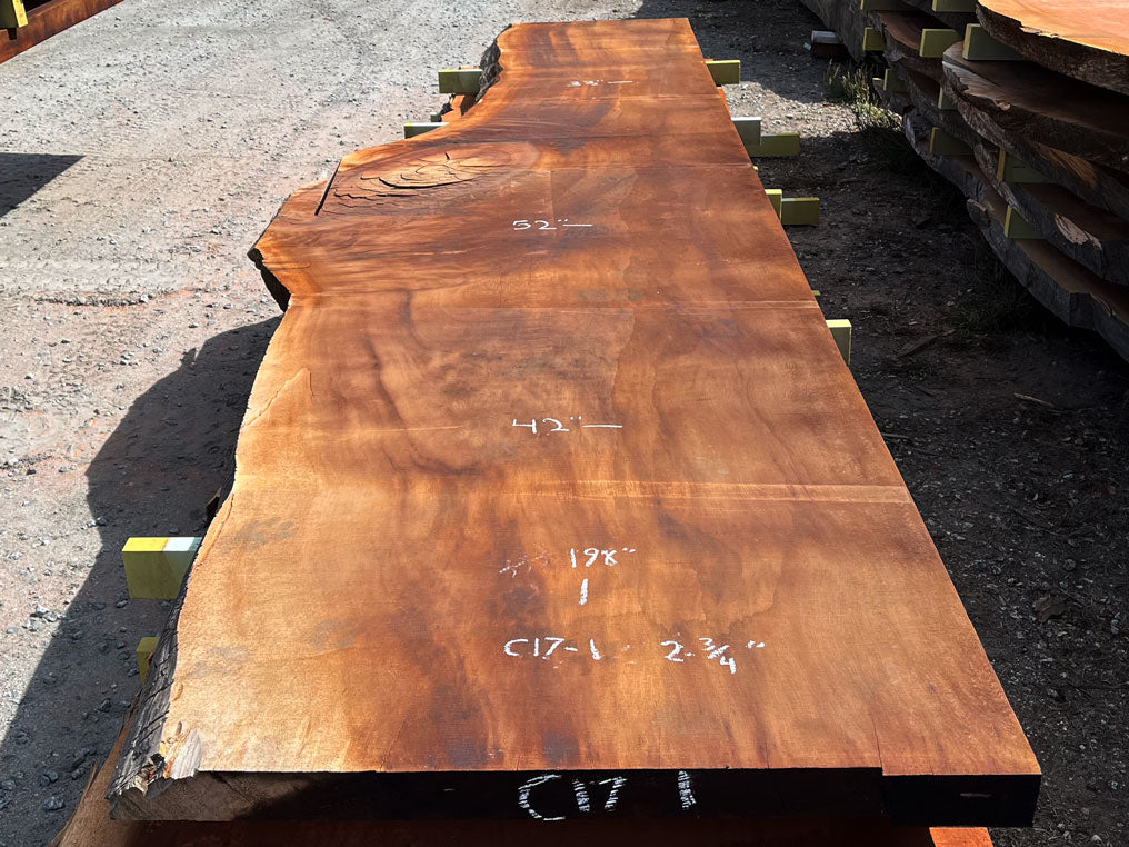 Giant Sequoia Live Edge Slab – 16.5' x 52" x 2.75" – Old Growth, Air-Dried – #C17-1