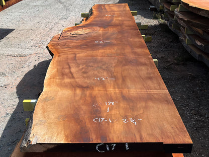 Giant Sequoia Live Edge Slab – 16.5' x 52" x 2.75" – Old Growth, Air-Dried – #C17-1
