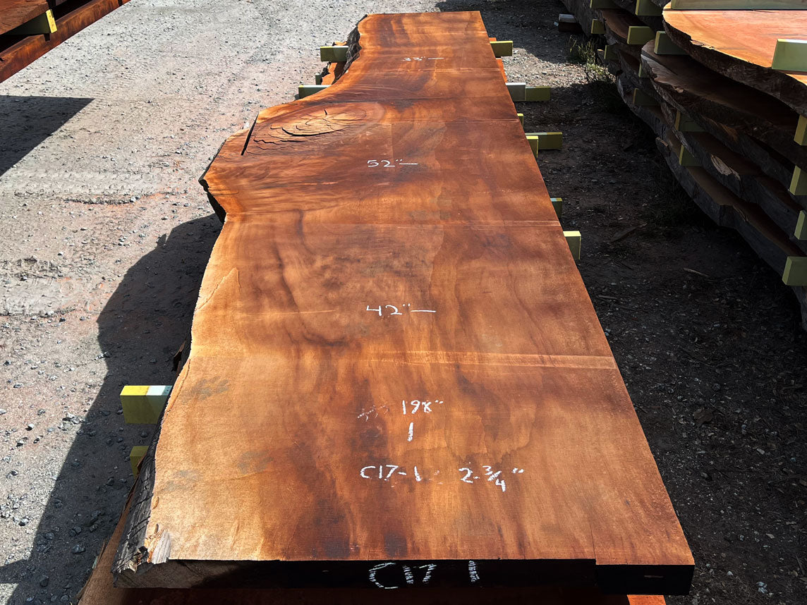 Giant Sequoia Live Edge Slab – 16.5' x 52" x 2.75" – Old Growth, Air-Dried – #C17-1