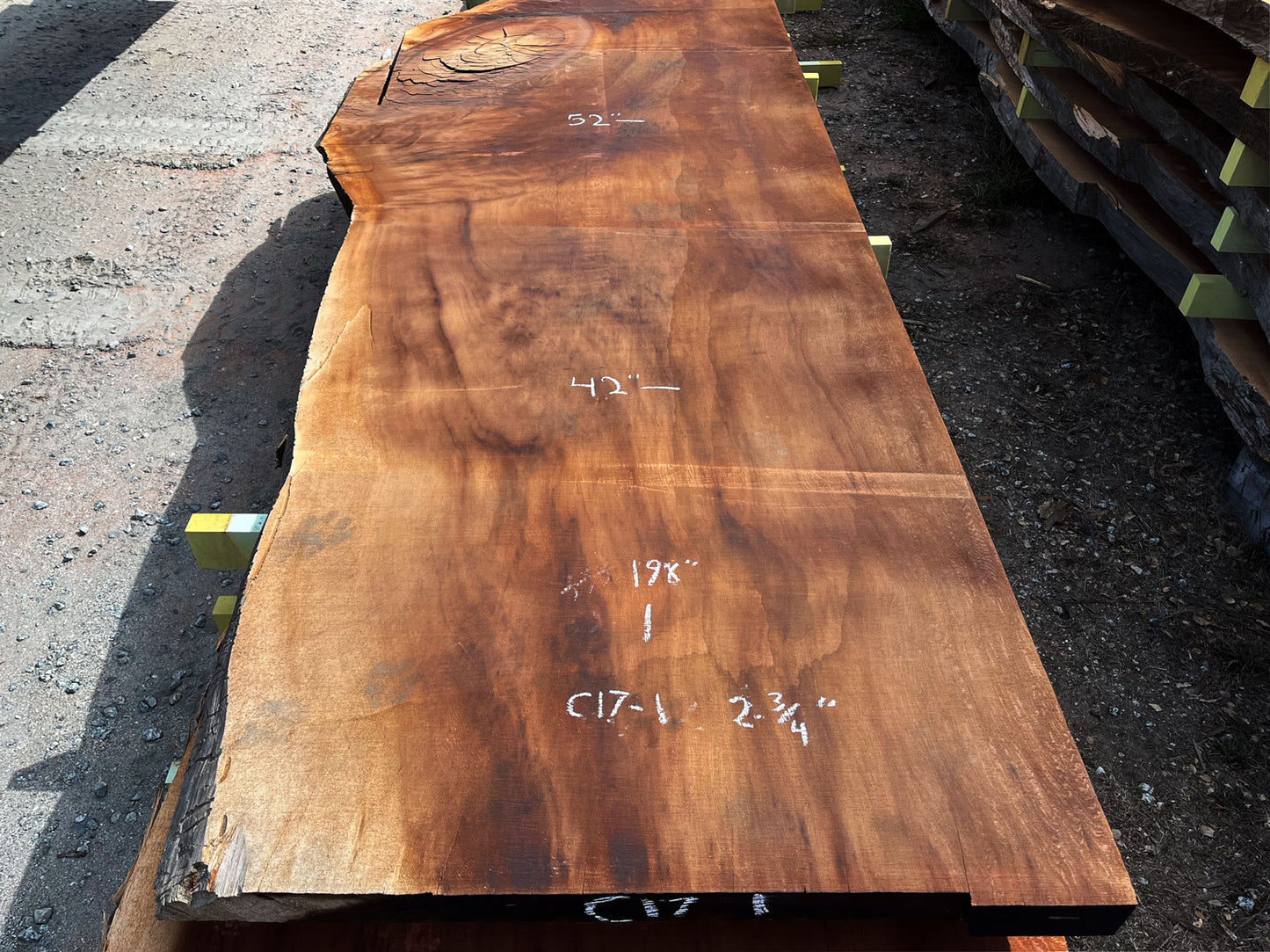 Giant Sequoia Live Edge Slab – 16.5' x 52" x 2.75" – Old Growth, Air-Dried – #C17-1