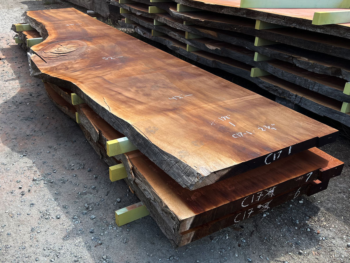 Giant Sequoia Live Edge Slab – 16.5' x 52" x 2.75" – Old Growth, Air-Dried – #C17-1