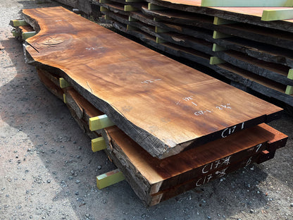 Giant Sequoia Live Edge Slab – 16.5' x 52" x 2.75" – Old Growth, Air-Dried – #C17-1