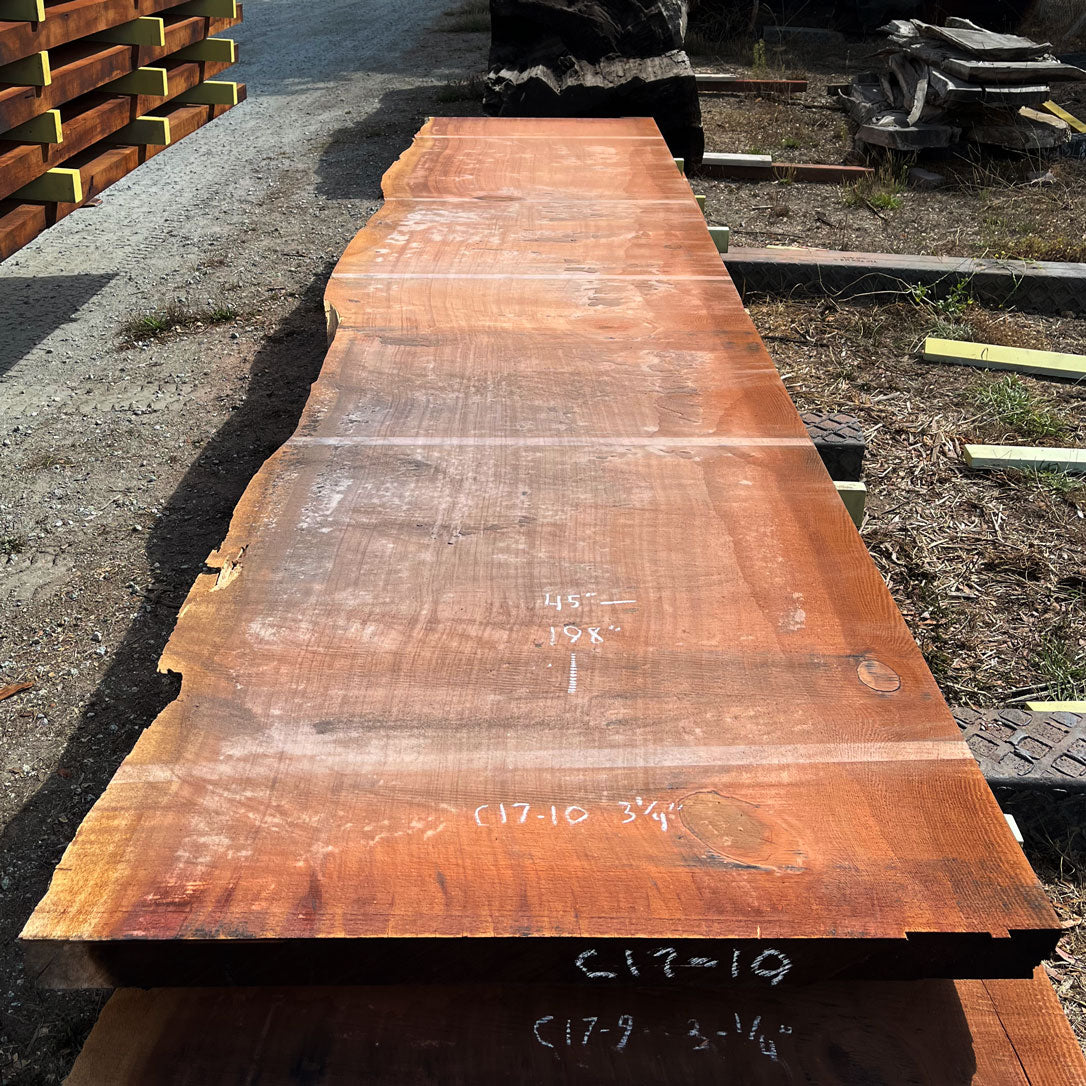 Giant Sequoia Live Edge Slab – 16.5' x 45" x 3.25" – Old Growth, Air-Dried – #C17-10