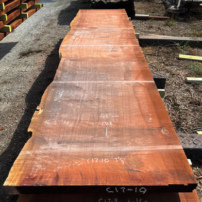 Giant Sequoia Live Edge Slab – 16.5' x 45" x 3.25" – Old Growth, Air-Dried – #C17-10
