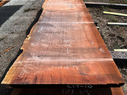 Giant Sequoia Live Edge Slab – 16.5' x 45" x 3.25" – Old Growth, Air-Dried – #C17-10