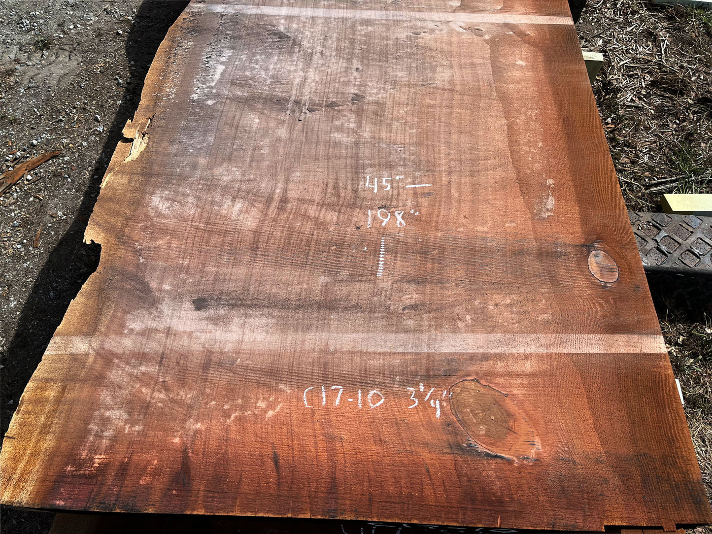 Giant Sequoia Live Edge Slab – 16.5' x 45" x 3.25" – Old Growth, Air-Dried – #C17-10