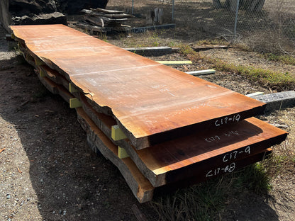 Giant Sequoia Live Edge Slab – 16.5' x 45" x 3.25" – Old Growth, Air-Dried – #C17-10