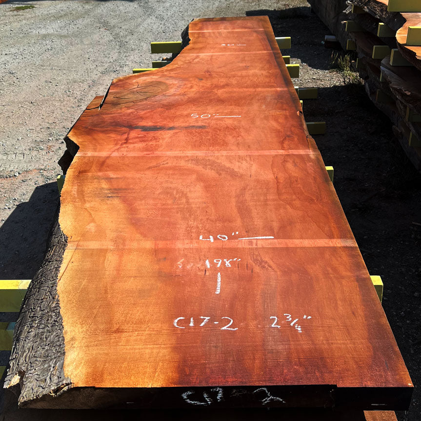 Giant Sequoia Live Edge Slab – 16.5' x 50" x 2.75" – Old Growth, Air-Dried – #C17-2