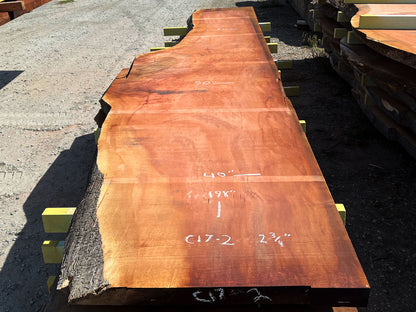 Giant Sequoia Live Edge Slab – 16.5' x 50" x 2.75" – Old Growth, Air-Dried – #C17-2