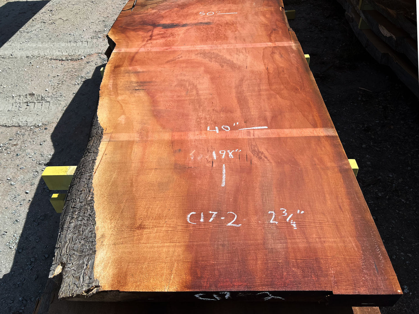 Giant Sequoia Live Edge Slab – 16.5' x 50" x 2.75" – Old Growth, Air-Dried – #C17-2