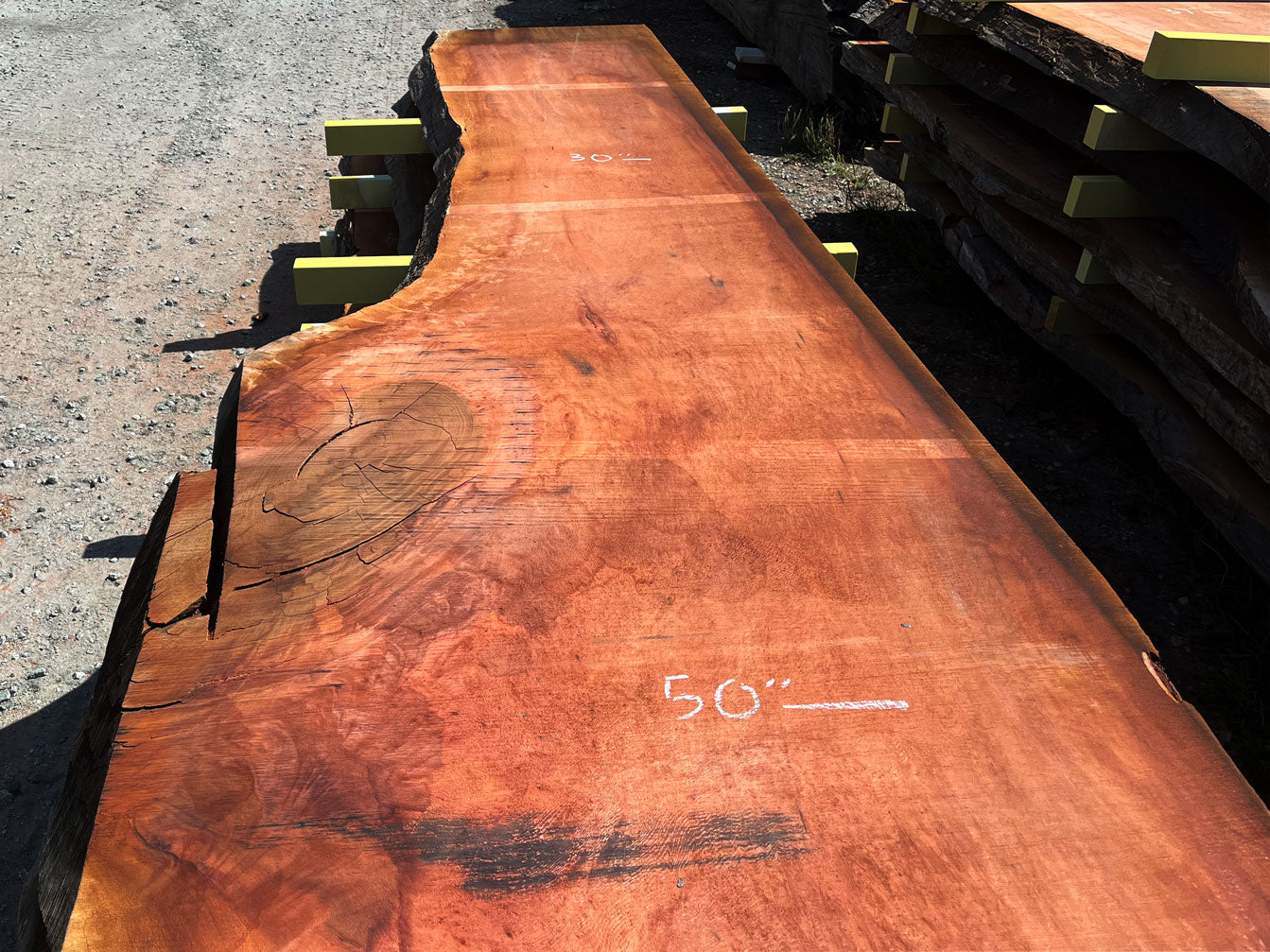 Giant Sequoia Live Edge Slab – 16.5' x 50" x 2.75" – Old Growth, Air-Dried – #C17-2