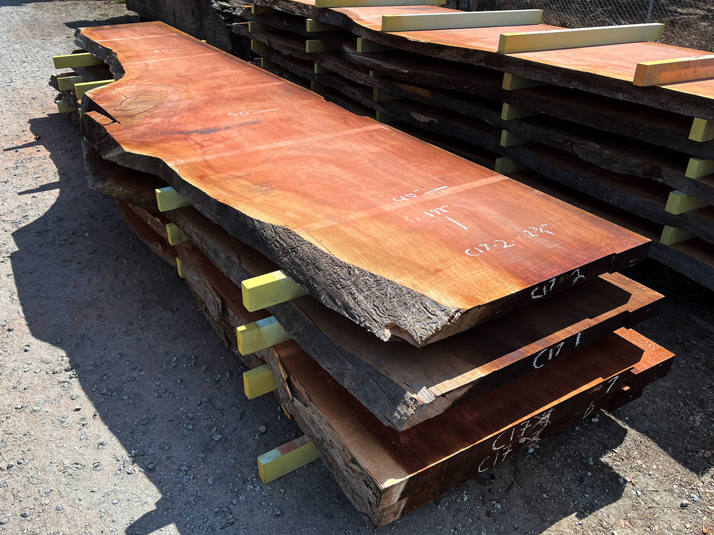 Giant Sequoia Live Edge Slab – 16.5' x 50" x 2.75" – Old Growth, Air-Dried – #C17-2
