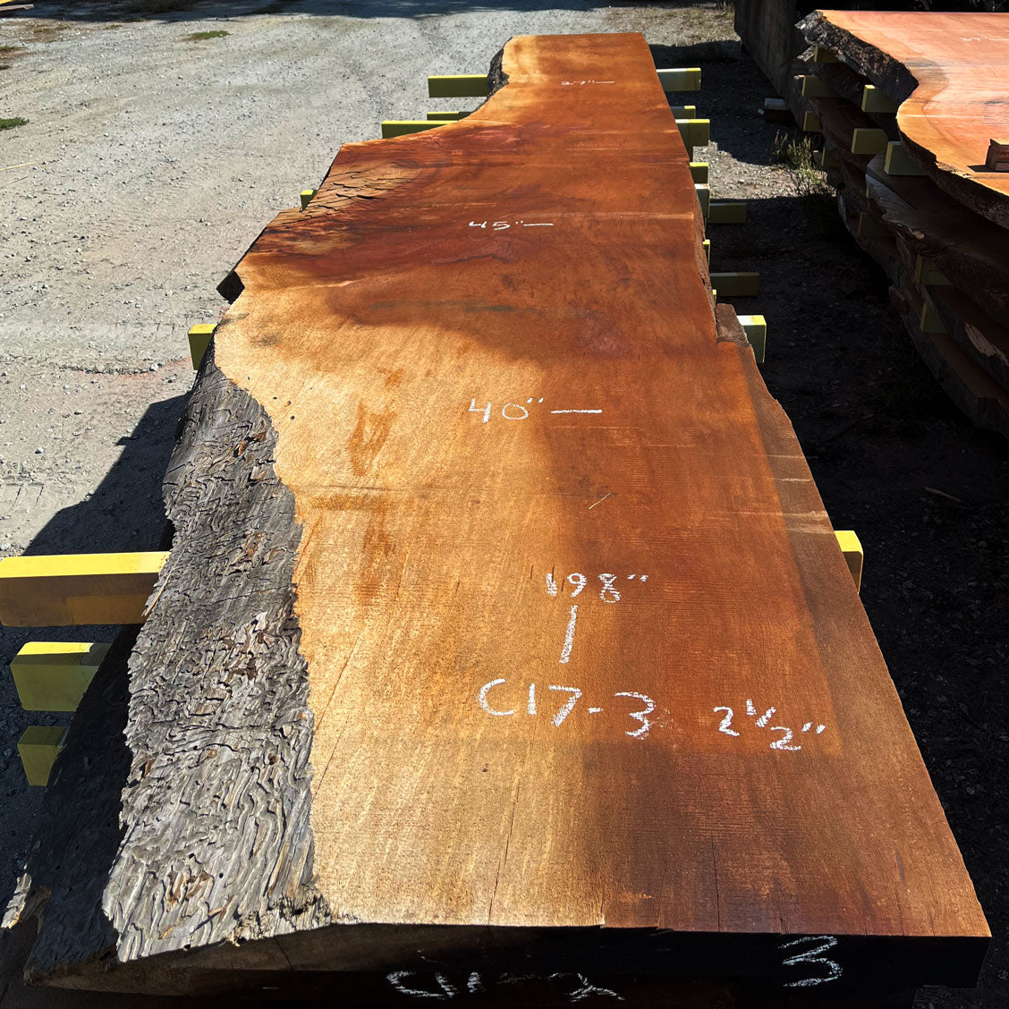 Giant Sequoia Live Edge Slab – 16.58' x 45" x 2.5" – Old Growth, Air-Dried – #C17-3