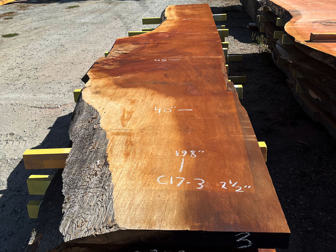 Giant Sequoia Live Edge Slab – 16.58' x 45" x 2.5" – Old Growth, Air-Dried – #C17-3