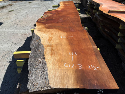 Giant Sequoia Live Edge Slab – 16.58' x 45" x 2.5" – Old Growth, Air-Dried – #C17-3