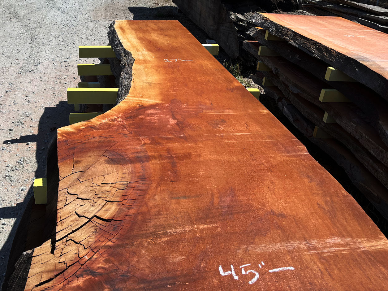 Giant Sequoia Live Edge Slab – 16.58' x 45" x 2.5" – Old Growth, Air-Dried – #C17-3
