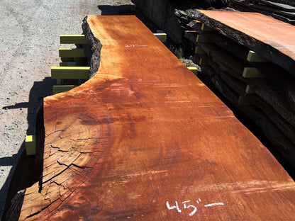 Giant Sequoia Live Edge Slab – 16.58' x 45" x 2.5" – Old Growth, Air-Dried – #C17-3