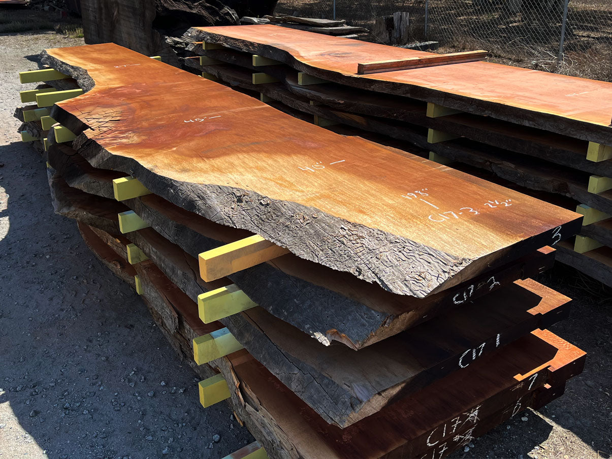 Giant Sequoia Live Edge Slab – 16.58' x 45" x 2.5" – Old Growth, Air-Dried – #C17-3