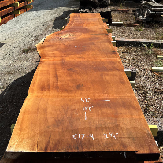 Giant Sequoia Live Edge Slab – 16.5' x 52" x 2.25" – Old Growth, Air-Dried – #C17-4