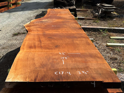 Giant Sequoia Live Edge Slab – 16.5' x 52" x 2.25" – Old Growth, Air-Dried – #C17-4
