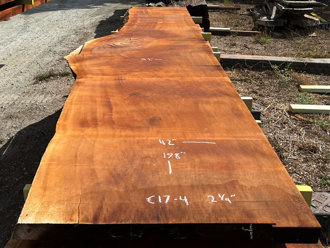 Giant Sequoia Live Edge Slab – 16.5' x 52" x 2.25" – Old Growth, Air-Dried – #C17-4