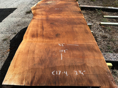 Giant Sequoia Live Edge Slab – 16.5' x 52" x 2.25" – Old Growth, Air-Dried – #C17-4