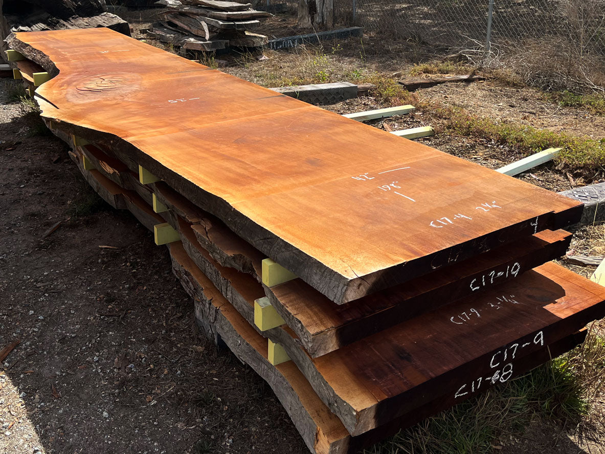 Giant Sequoia Live Edge Slab – 16.5' x 52" x 2.25" – Old Growth, Air-Dried – #C17-4