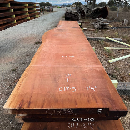 Giant Sequoia Live Edge Slab – 16.5' x 48" x 3.125" – Old Growth, Air-Dried – #C17-5