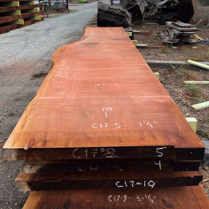 Giant Sequoia Live Edge Slab – 16.5' x 48" x 3.125" – Old Growth, Air-Dried – #C17-5
