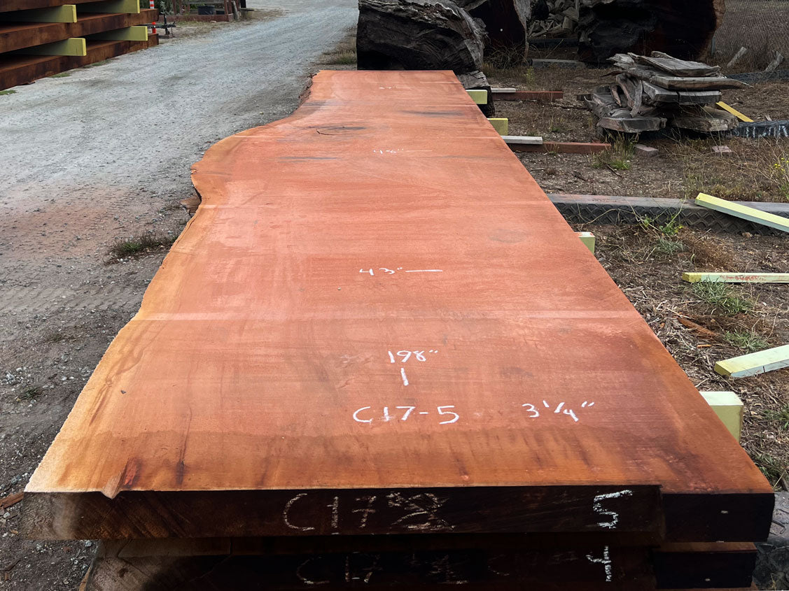 Giant Sequoia Live Edge Slab – 16.5' x 48" x 3.125" – Old Growth, Air-Dried – #C17-5