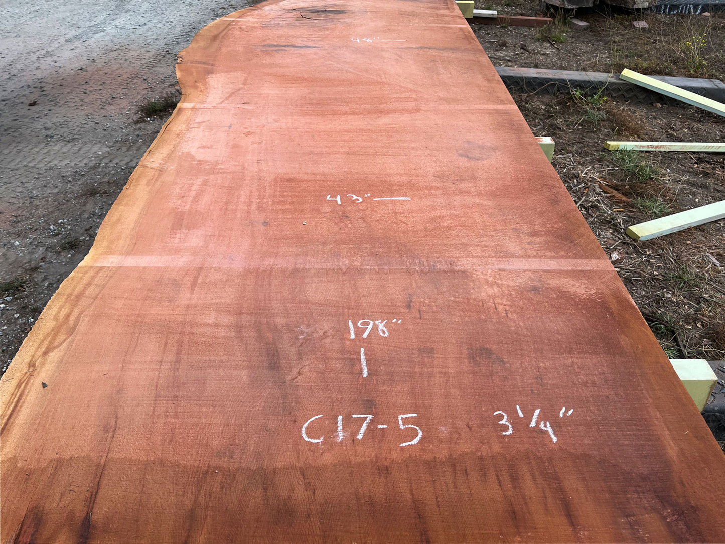 Giant Sequoia Live Edge Slab – 16.5' x 48" x 3.125" – Old Growth, Air-Dried – #C17-5
