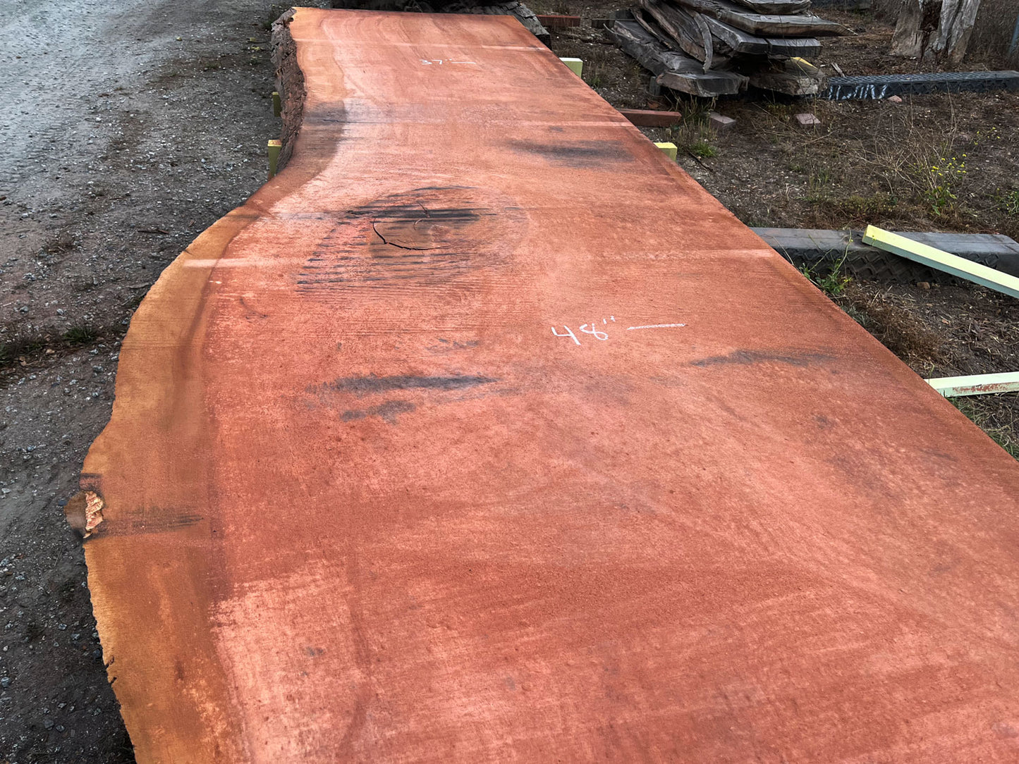 Giant Sequoia Live Edge Slab – 16.5' x 48" x 3.125" – Old Growth, Air-Dried – #C17-5