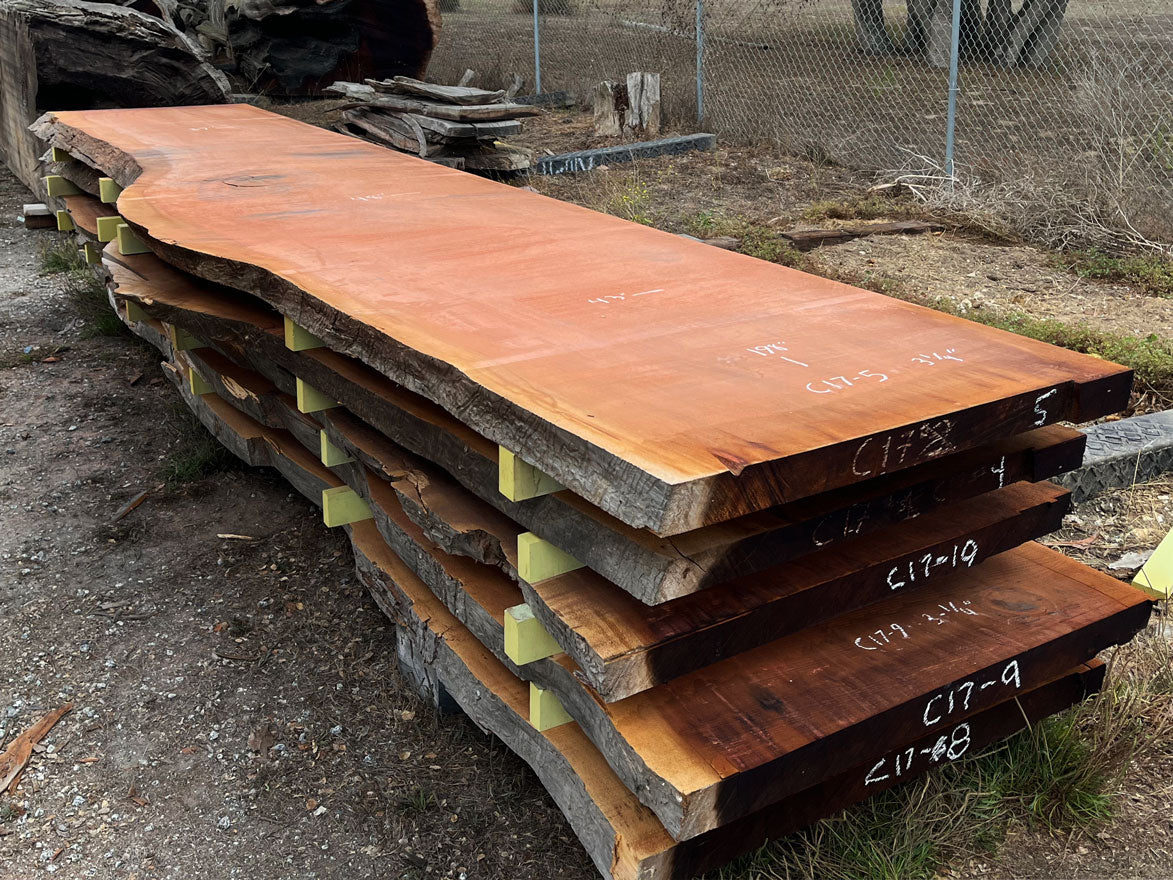 Giant Sequoia Live Edge Slab – 16.5' x 48" x 3.125" – Old Growth, Air-Dried – #C17-5