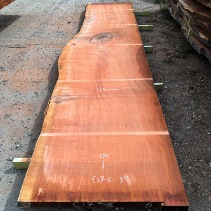 Giant Sequoia Live Edge Slab – 16.5' x 47" x 3" – Old Growth, Air-Dried – #C17-6