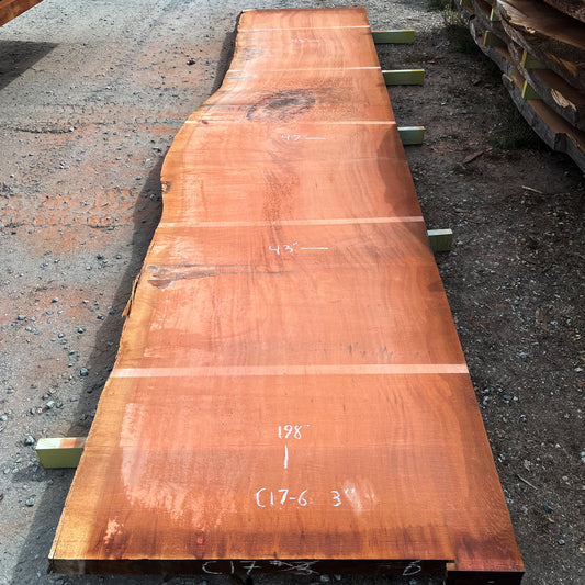 Giant Sequoia Live Edge Slab – 16.5' x 47" x 3" – Old Growth, Air-Dried – #C17-6