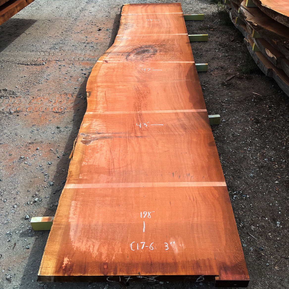 Giant Sequoia Live Edge Slab – 16.5' x 47" x 3" – Old Growth, Air-Dried – #C17-6