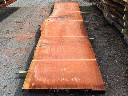 Giant Sequoia Live Edge Slab – 16.5' x 47" x 3" – Old Growth, Air-Dried – #C17-6