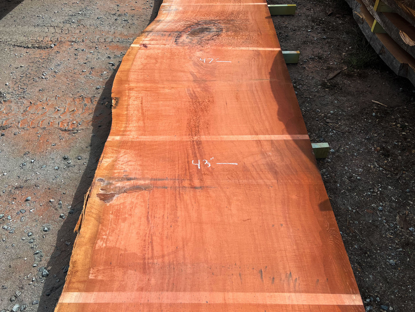 Giant Sequoia Live Edge Slab – 16.5' x 47" x 3" – Old Growth, Air-Dried – #C17-6