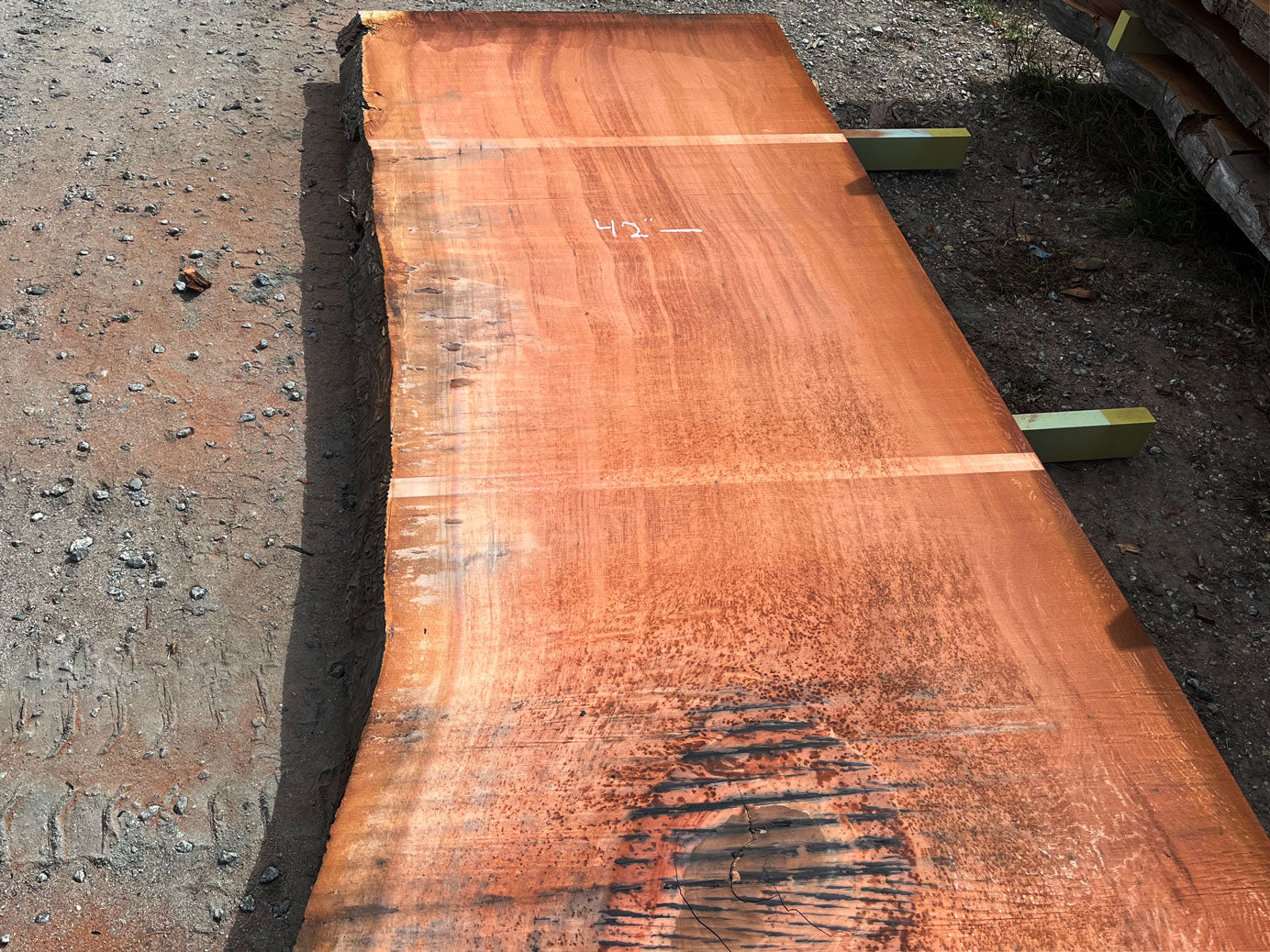 Giant Sequoia Live Edge Slab – 16.5' x 47" x 3" – Old Growth, Air-Dried – #C17-6