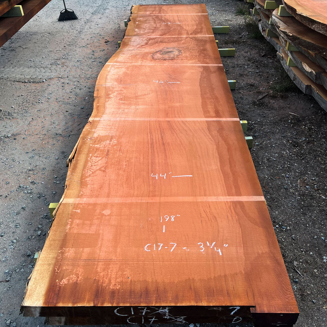 Giant Sequoia Live Edge Slab – 16.5' x 46" x 3.125" – Old Growth, Air-Dried – #C17-7
