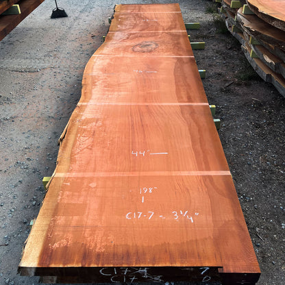 Giant Sequoia Live Edge Slab – 16.5' x 46" x 3.125" – Old Growth, Air-Dried – #C17-7