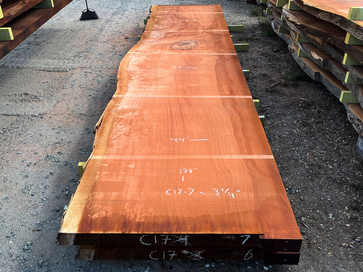 Giant Sequoia Live Edge Slab – 16.5' x 46" x 3.125" – Old Growth, Air-Dried – #C17-7