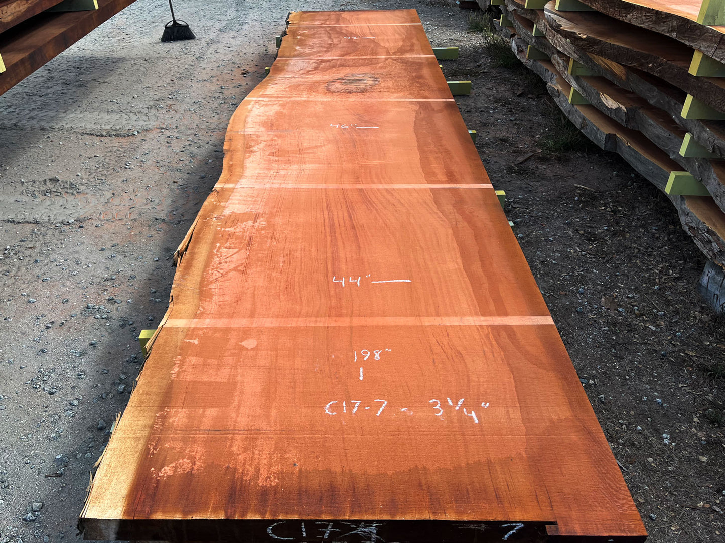 Giant Sequoia Live Edge Slab – 16.5' x 46" x 3.125" – Old Growth, Air-Dried – #C17-7