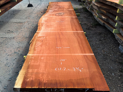 Giant Sequoia Live Edge Slab – 16.5' x 46" x 3.125" – Old Growth, Air-Dried – #C17-7