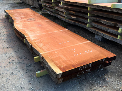 Giant Sequoia Live Edge Slab – 16.5' x 46" x 3.125" – Old Growth, Air-Dried – #C17-7