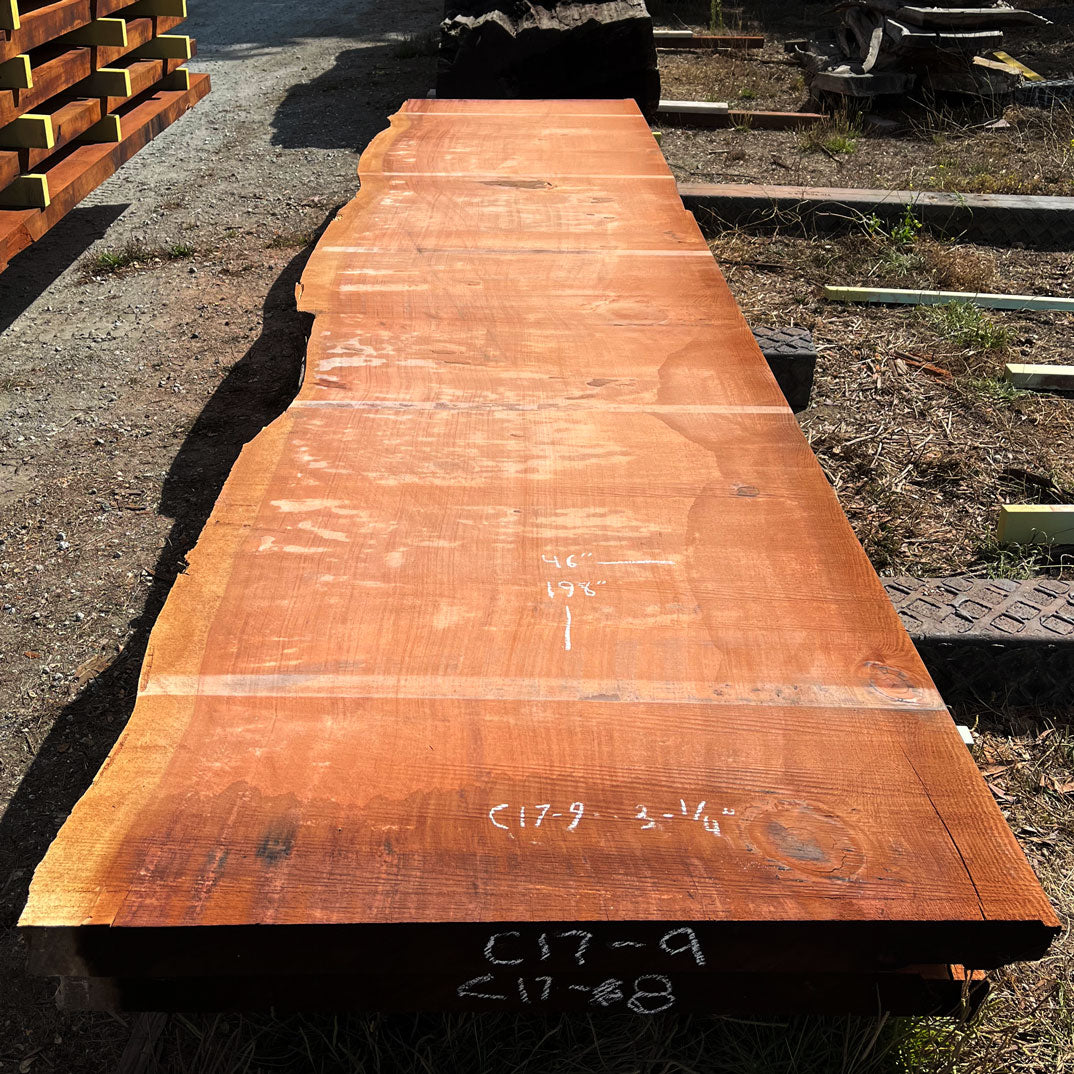 Giant Sequoia Live Edge Slab – 16.5' x 46" x 3.25" – Old Growth, Air-Dried – #C17-9