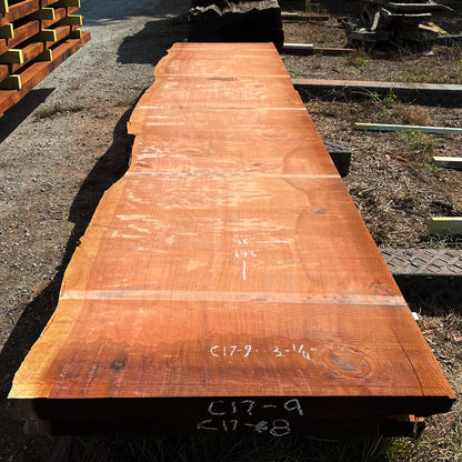 Giant Sequoia Live Edge Slab – 16.5' x 46" x 3.25" – Old Growth, Air-Dried – #C17-9